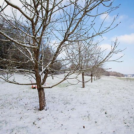 Guégon Stone Cottage With Modern Cosy Interior Near To Josselin Perfect Retreat For Writers Or Star Gazers מראה חיצוני תמונה